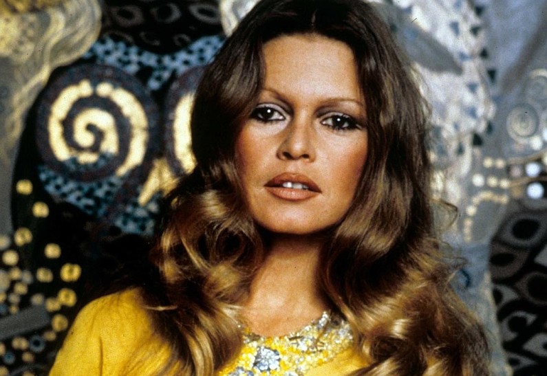 Брижит Бардо лишилась карьеры из-за рождения сына