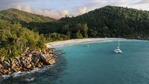 Новогодняя коллаборация пространства  IN FEELS и сети отелей Constance Hotels & Resorts