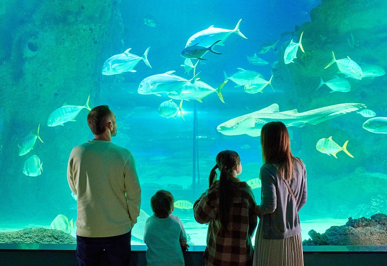 «Москвариум» приглашает на майские праздники