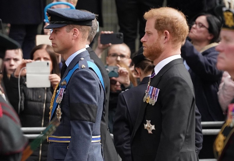 Принц Гарри протянул Карлу III и принцу Уильяму руку в знак примирения