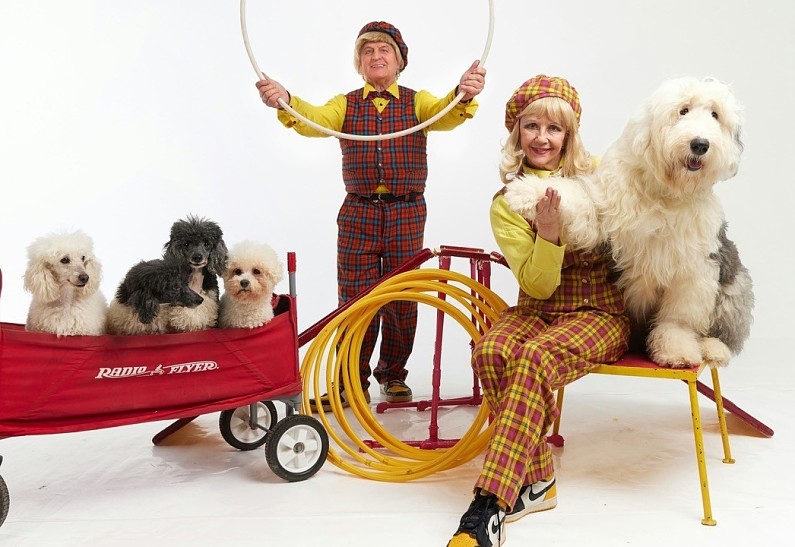 Фестиваль «Цирковое приключение: веселые лапки» пройдет на территории парка «Сказка»