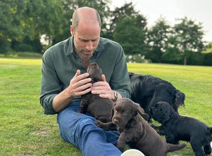 Принц Уильям