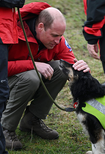 Принц Уильям
