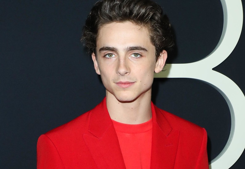 Наука раскрыла секрет привлекательности Тимоти Шаламе