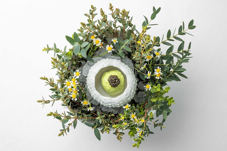 Сорбет из щавеля с икрой белуги