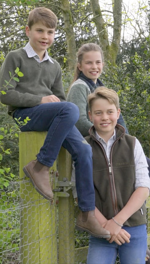 Принц Луи, принцесса Шарлотта и принц Джордж