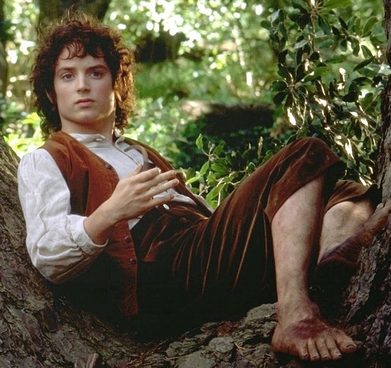 Кадр из фильма «Властелина колец»