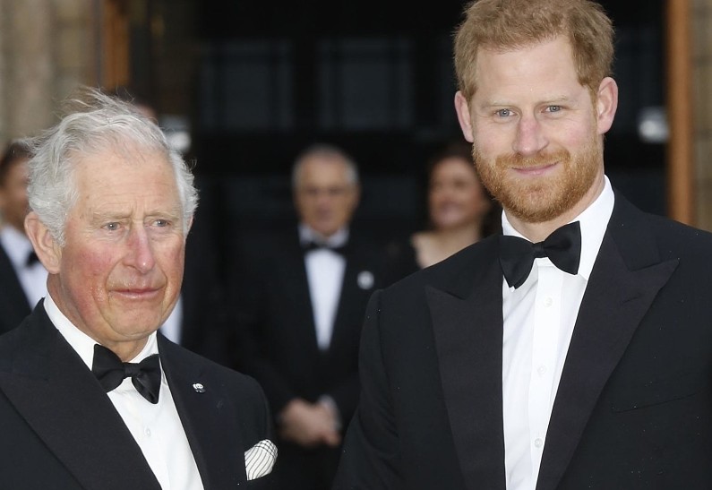 Королевский скандал: детали лондонской встречи принца Гарри и Карла III попали в прессу