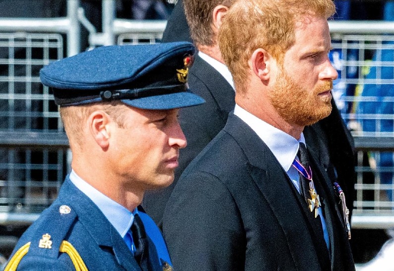 Принц Гарри и принц Уильям готовятся к воссоединению, несмотря на вражду