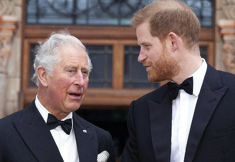 Представитель принца Гарри раскрыл подробности его встречи с Карлом III в Великобритании