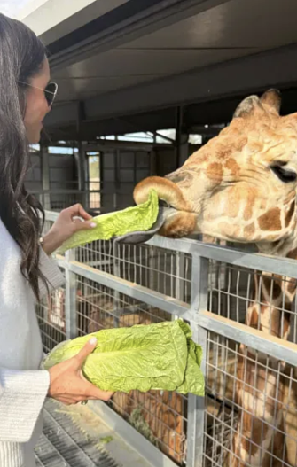 Меган Маркл