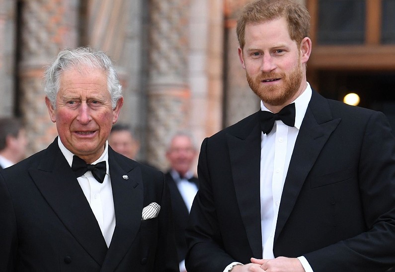 Меж двух огней: Карлу III придется выбирать между принцем Уильямом и принцем Гарри