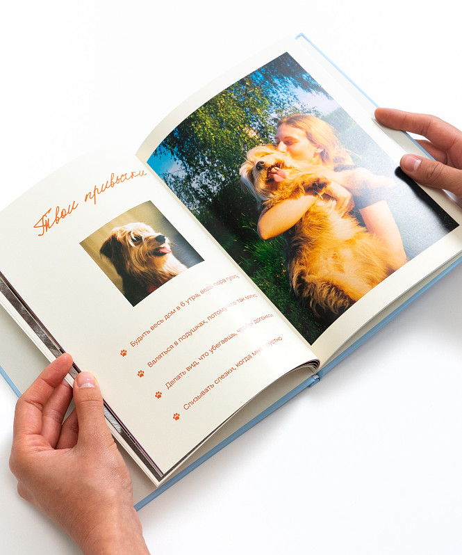 Периодика и Petshop представили трогательную коллаборацию