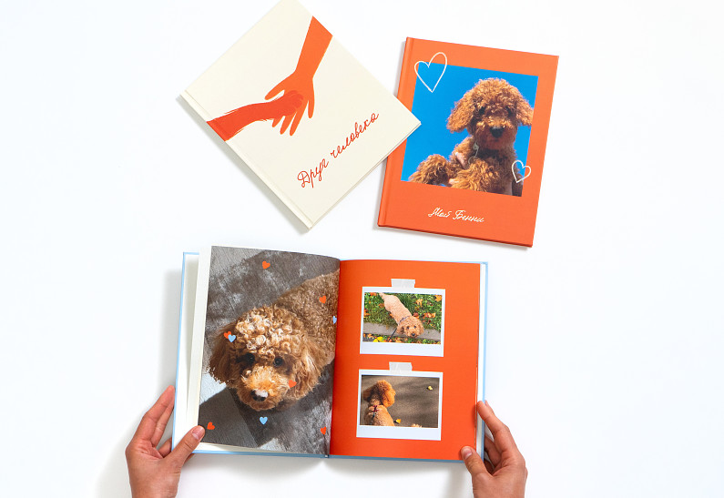 Периодика и Petshop представили трогательную коллаборацию