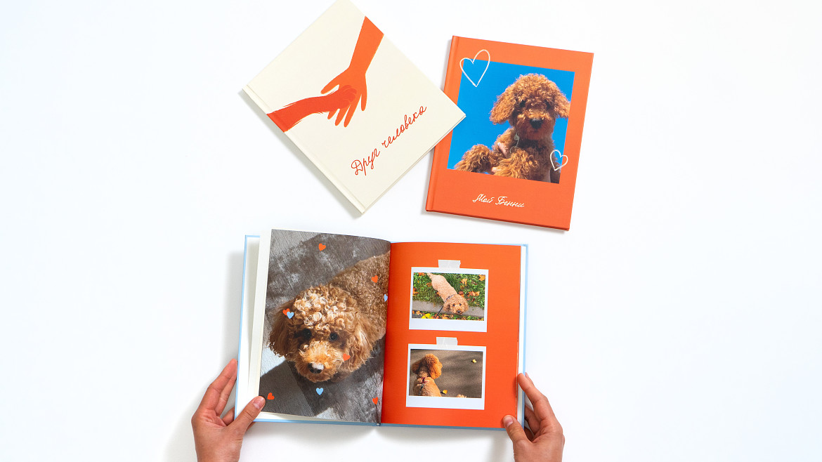 Периодика и Petshop представили трогательную коллаборацию