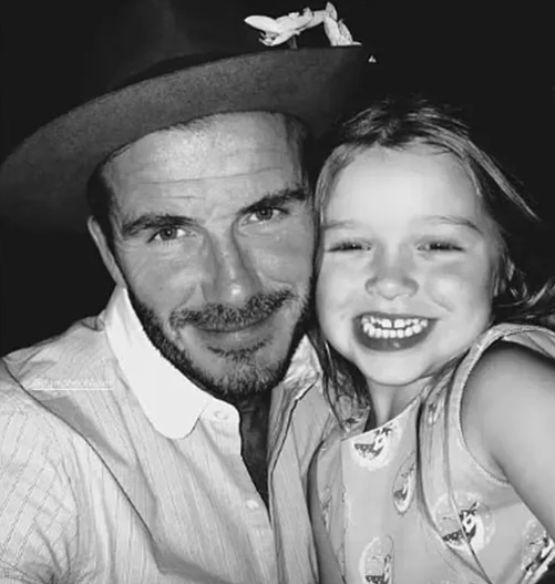 Дэвид и Харпер Бекхэм