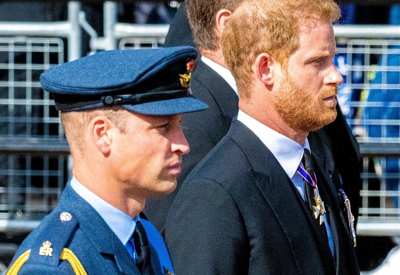 Раскрыта истинная причина вражды принцев Уильяма и Гарри