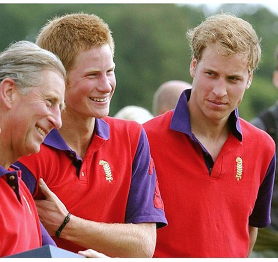 Принц Чарльз, принц Гарри, принц Уильям