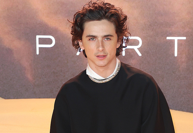 Тимоти Шаламе раскрыл подробности финала «Дюны»