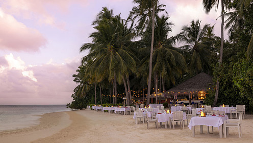 Отдых со вкусом: гастроли шеф-поваров ресторанного дома Maison Dellos на Мальдивских островах