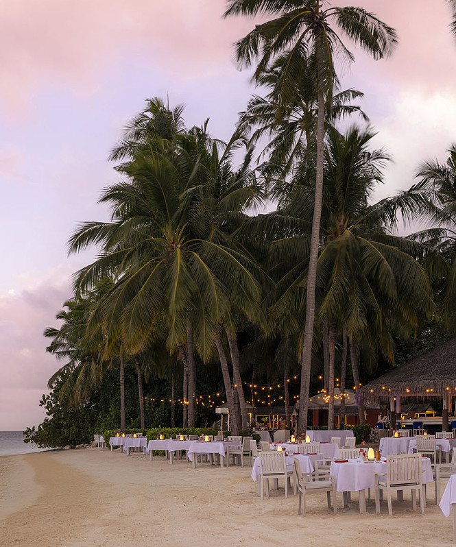 Отдых со вкусом: гастроли шеф-поваров ресторанного дома Maison Dellos на Мальдивских островах