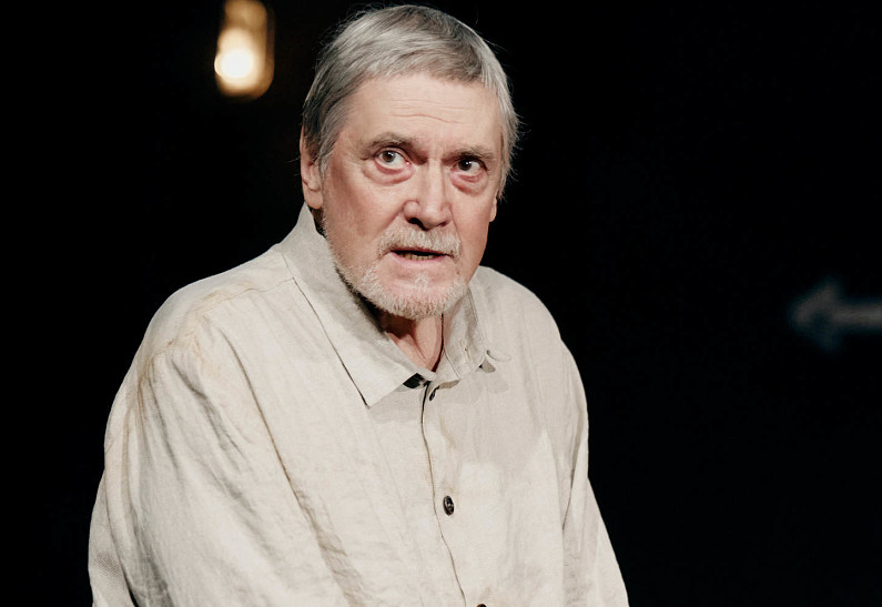 В театре им. А.С. Пушкина покажут спектакль «Лир во время чумы» 