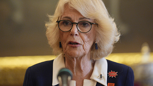 Королева Камилла выступила против насилия в отношении женщин на фоне скандала вокруг бывшего принца Эндрю