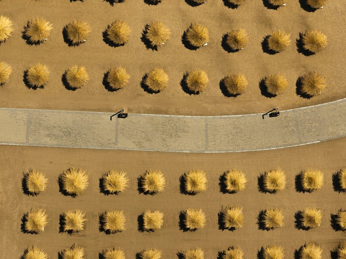 Пляжный отдых в Sea Breeze