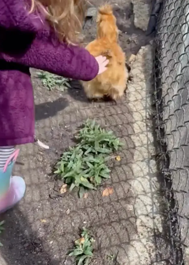 Принцесса Лилибет