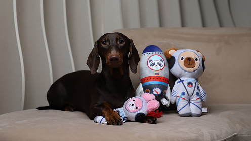 Triol запустил коллекцию игрушек ко Дню космонавтики