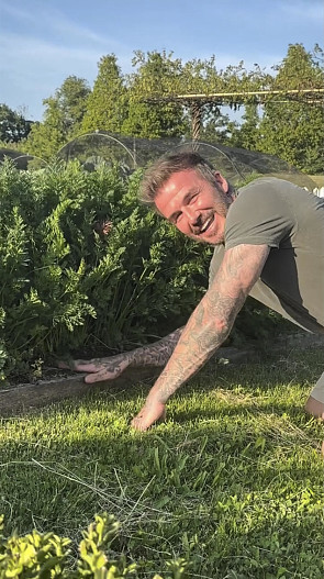 Дэвид Бекхэм