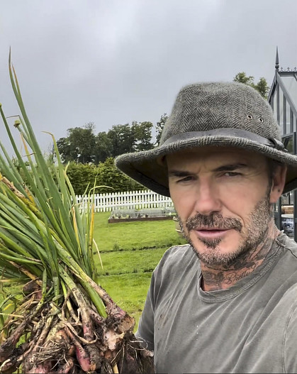 Дэвид Бекхэм