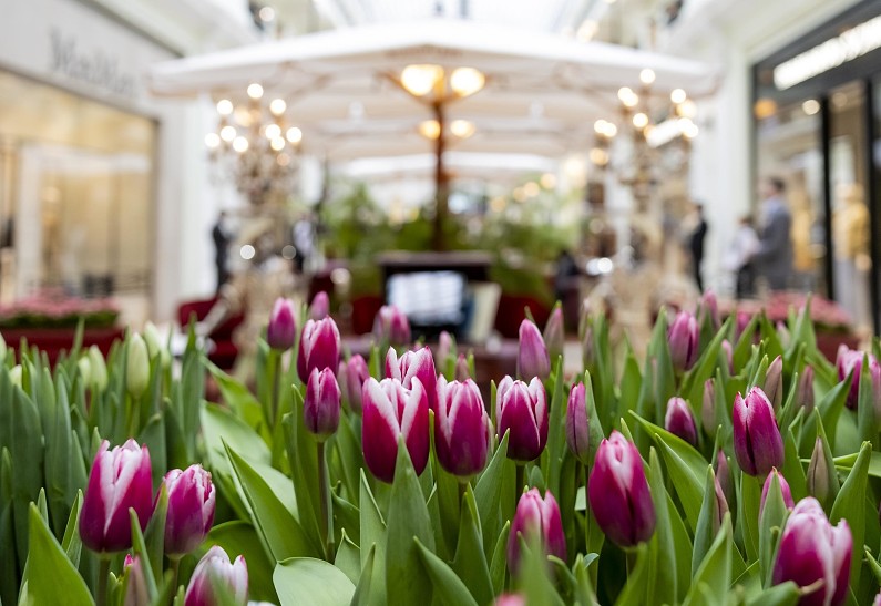 Александр Олешко, Полина Киценко, Светлана Кузнецова и другие гости открытия «Пассажа в цветах» в ГУМе