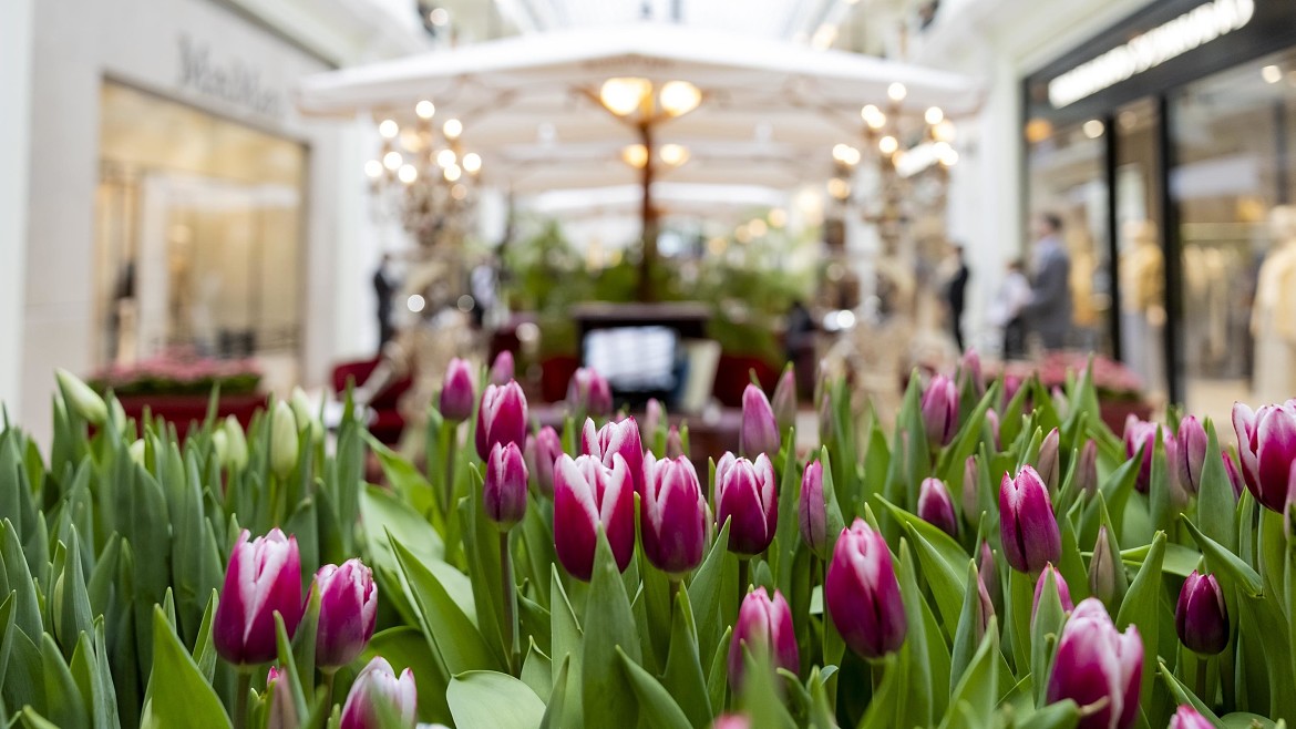 Александр Олешко, Полина Киценко, Светлана Кузнецова и другие гости открытия «Пассажа в цветах» в ГУМе