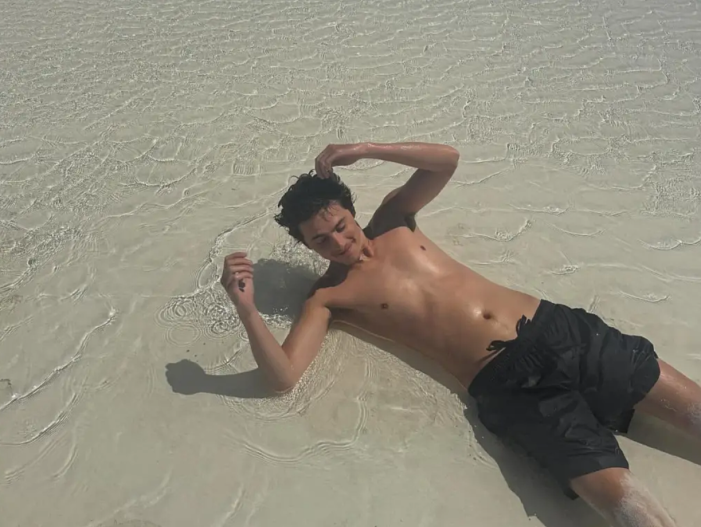 Тимоти Шаламе