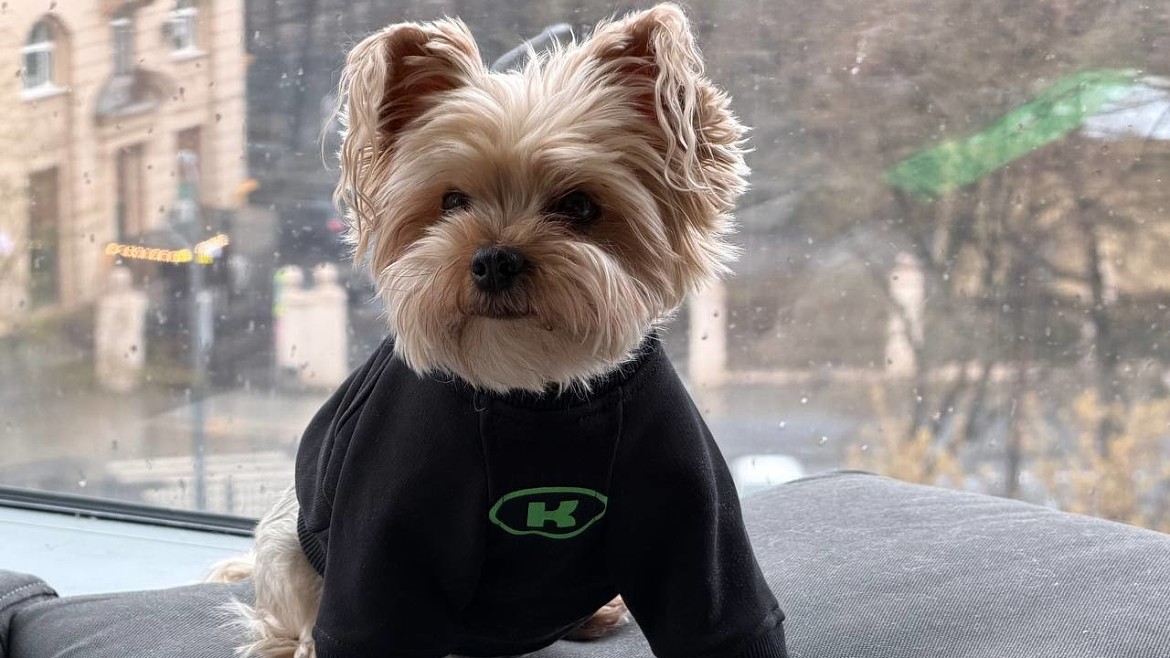 День лапок: повод радовать питомца каждый месяц