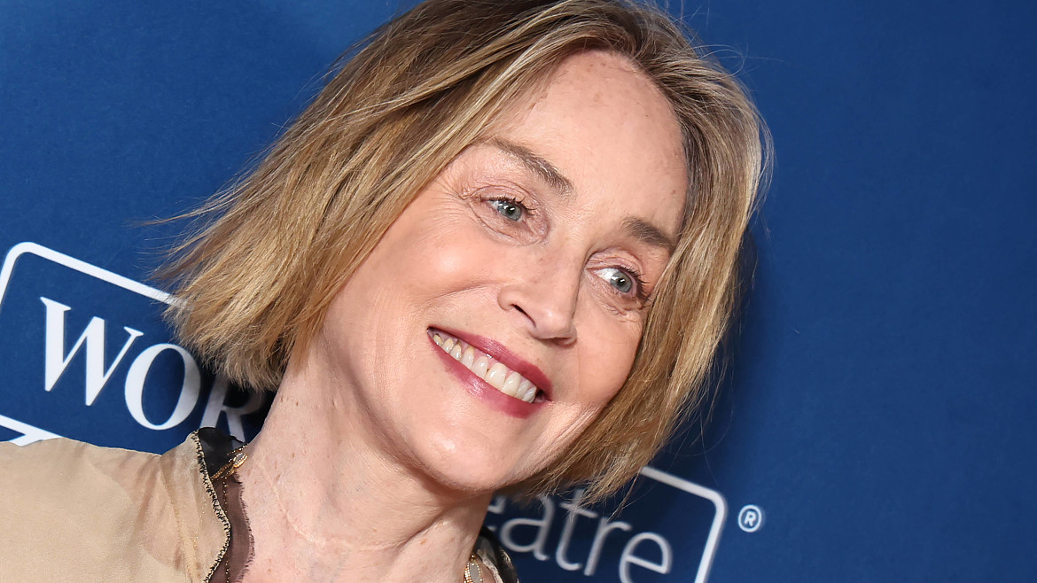 68-летняя Шэрон Стоун спровоцировала слухи о пластической операции