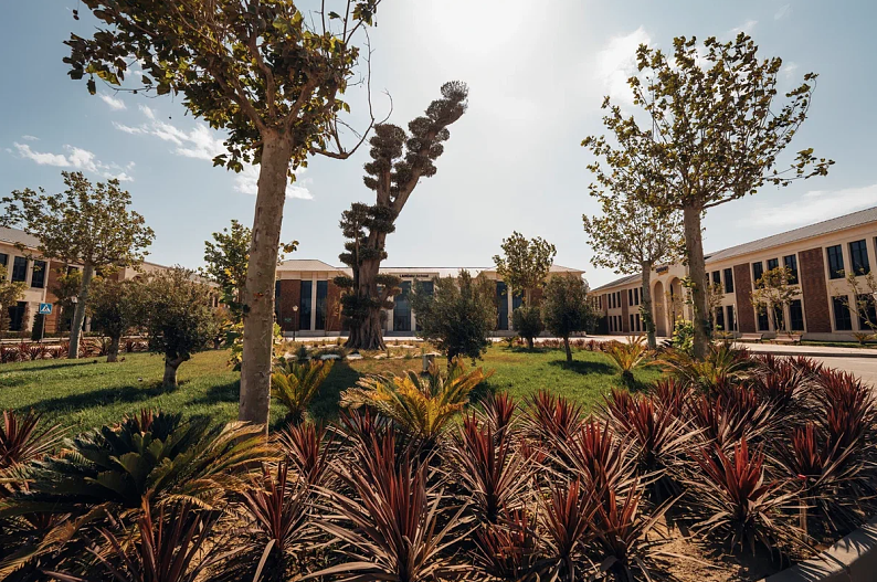 Территория школы в Sea Breeze