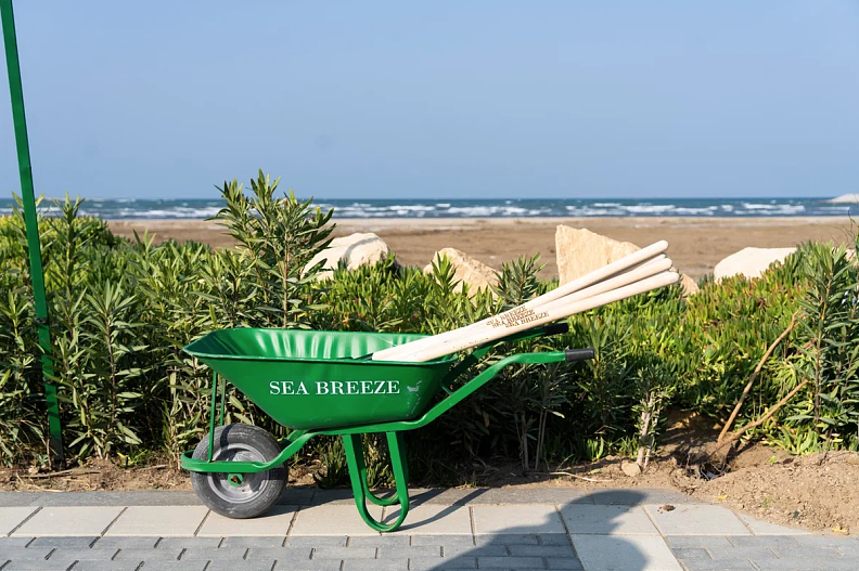 Высадка растений и деревьев в городе-курорте Sea Breeze