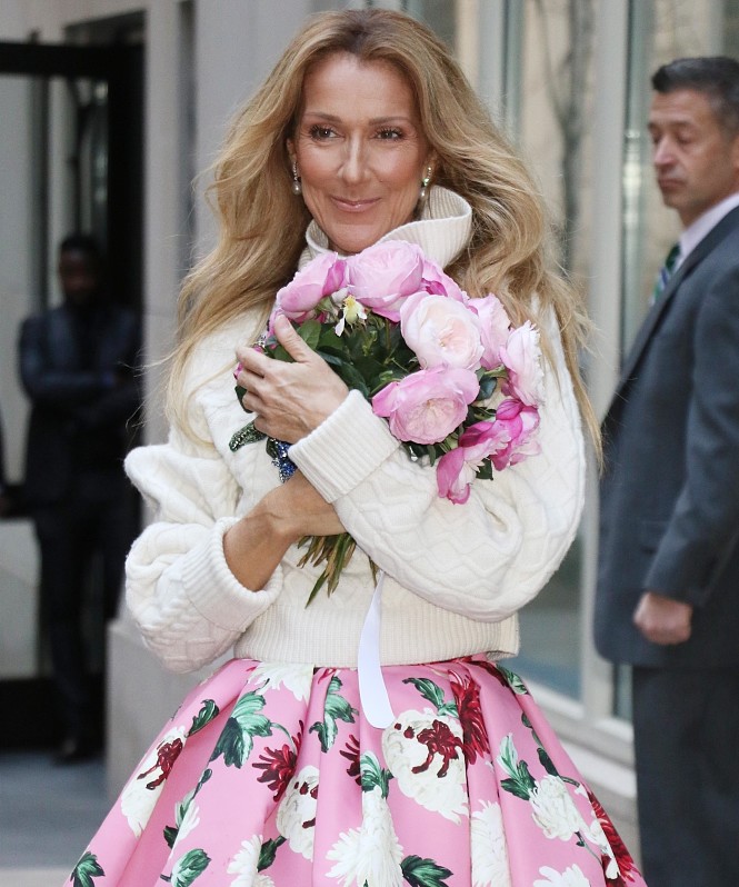 Разработан препарат для борьбы с тяжелым диагнозом Селин Дион