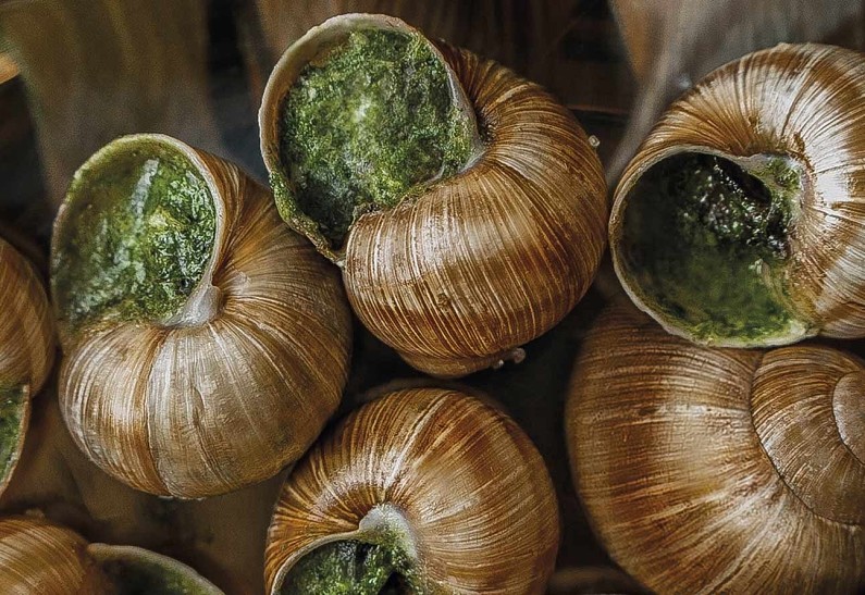 Карнавал улиток пройдет в гранд-кафе «Шануар»