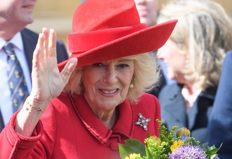 Королева Камилла призналась в боязни публичных выходов