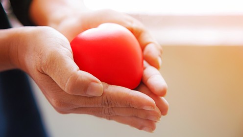 Искусство выживать и расцветать: как находить опору в себе среди тревог и кризисов