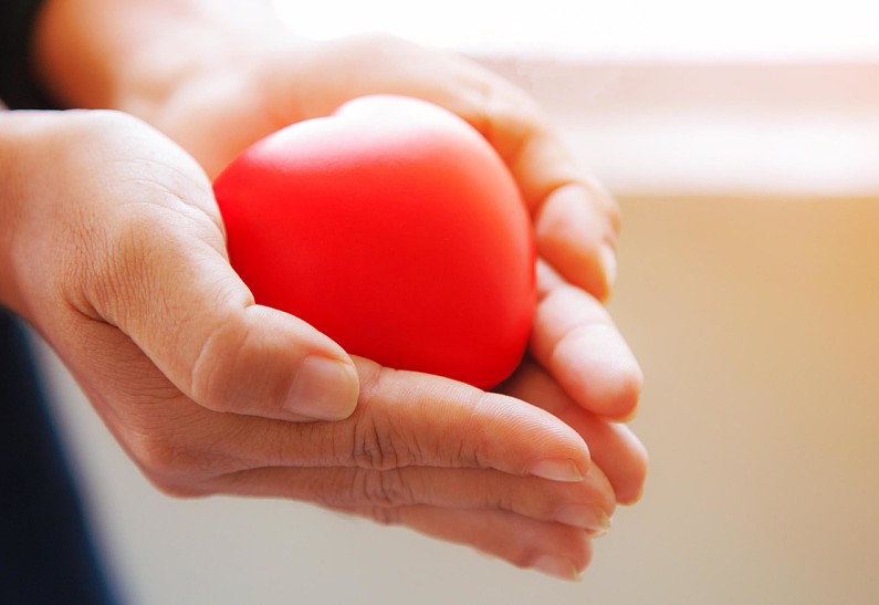 Искусство выживать и расцветать: как находить опору в себе среди тревог и кризисов