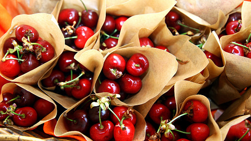 Открытый фестиваль искусств «Черешневый Лес» объявляет программу