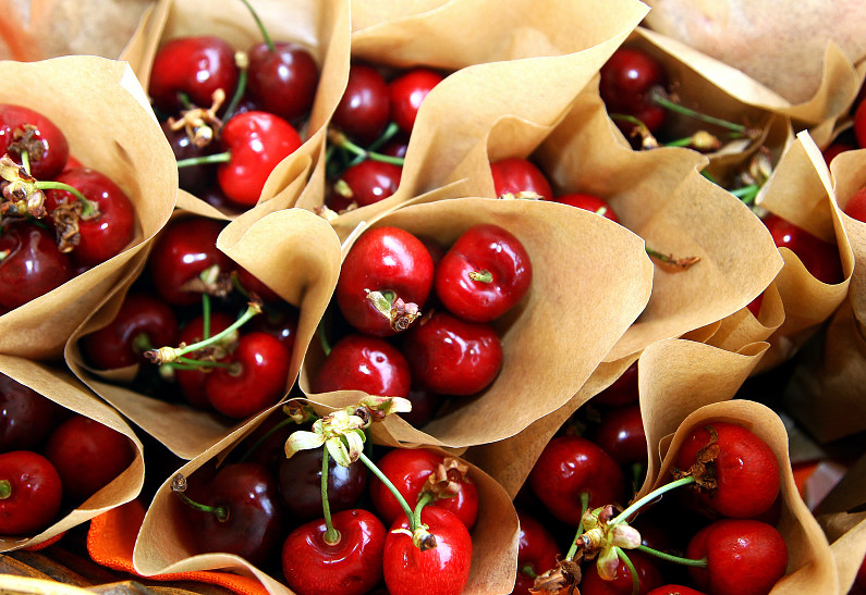 Открытый фестиваль искусств «Черешневый Лес» объявляет программу