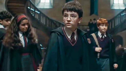 Сериал о Гарри Поттере столкнулся с волной критики до выхода на экраны